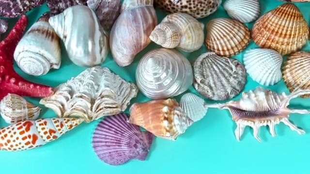 Music Heals the Heart and Blood Vessels Calming Music Restores the Nervous System and Relieves Stress