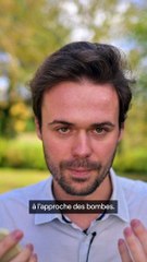 Pourquoi on veut utiliser des abeilles comme capteur?