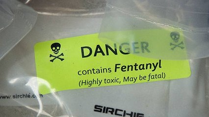 Envían Sobres Con Fentanilo A Los Trabajadores Electorales De EE.UU.