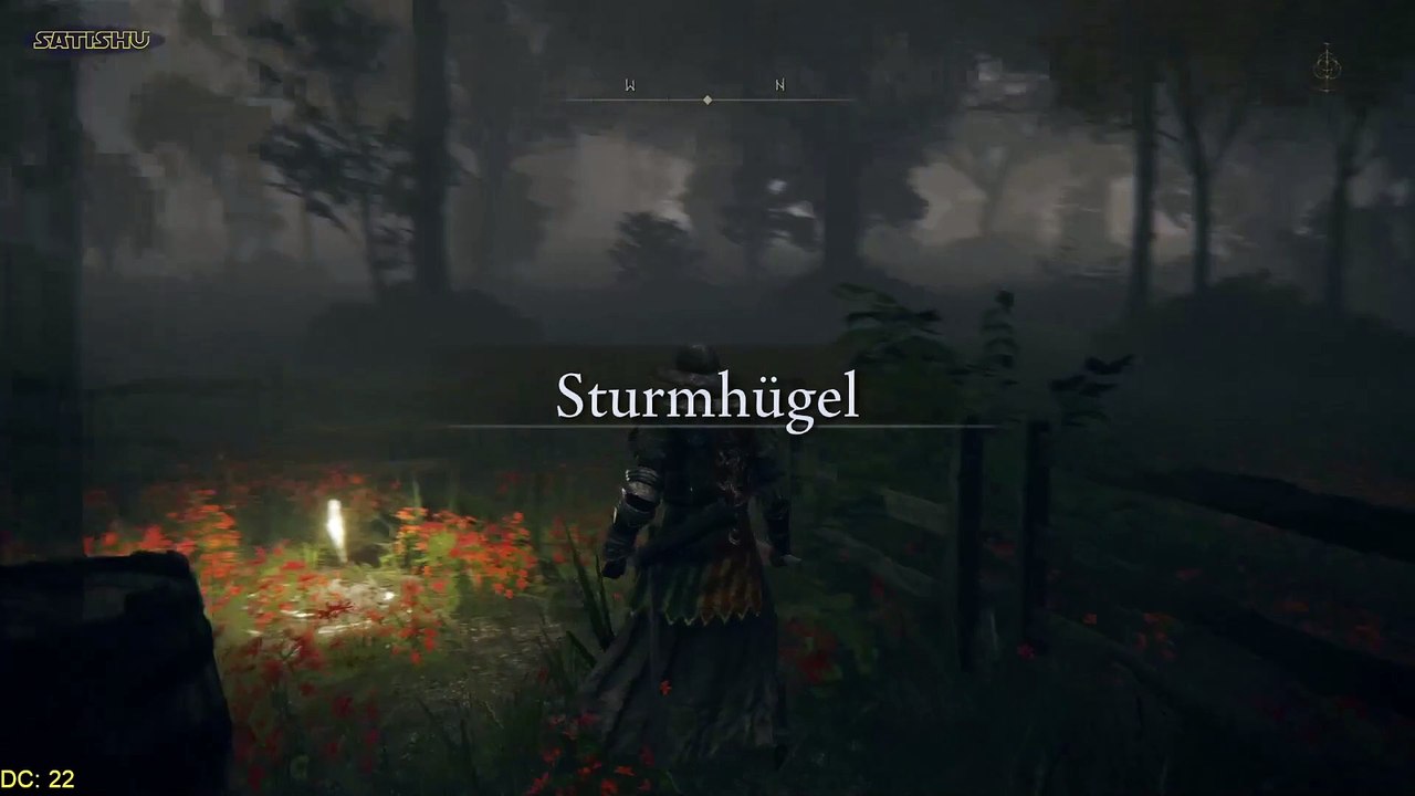 Von Wölfen und Hunden. | Elden Ring | Ep. 15