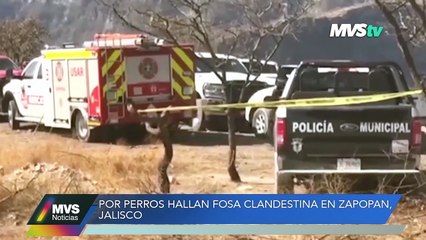 PERROS HALLAN FOSA CLANDESTINA EN ZAPOPAN, JALISCO