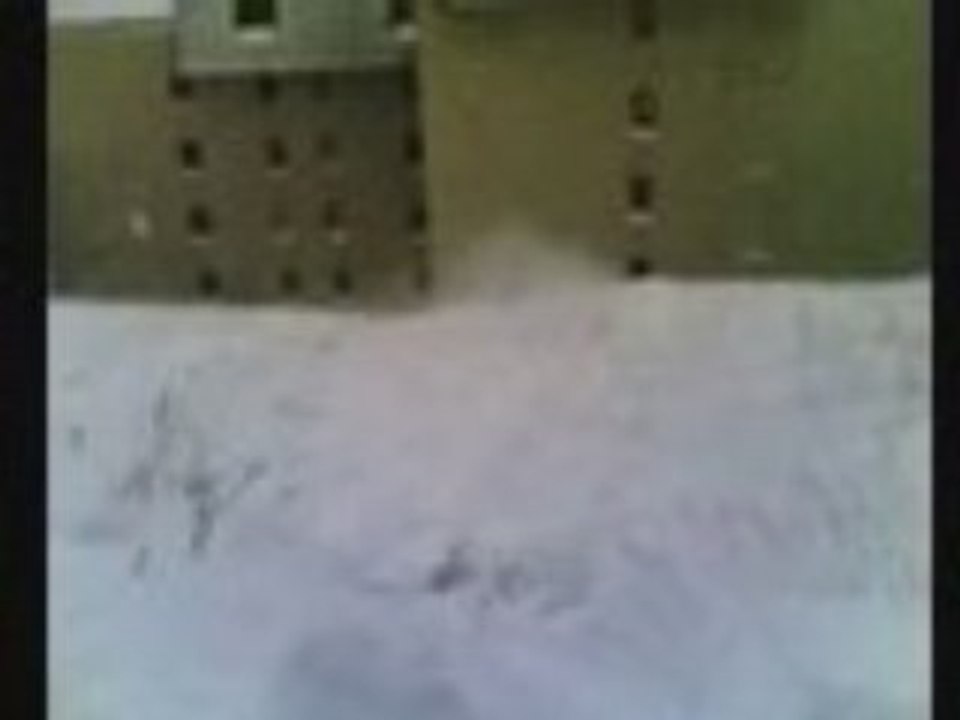 LUGE3