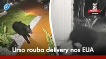 Urso rouba delivery na porta de casa nos EUA