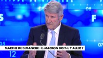 Philippe de Villiers : «Emmanuel Macron doit se rendre à la marche car il est le principe d'unité»