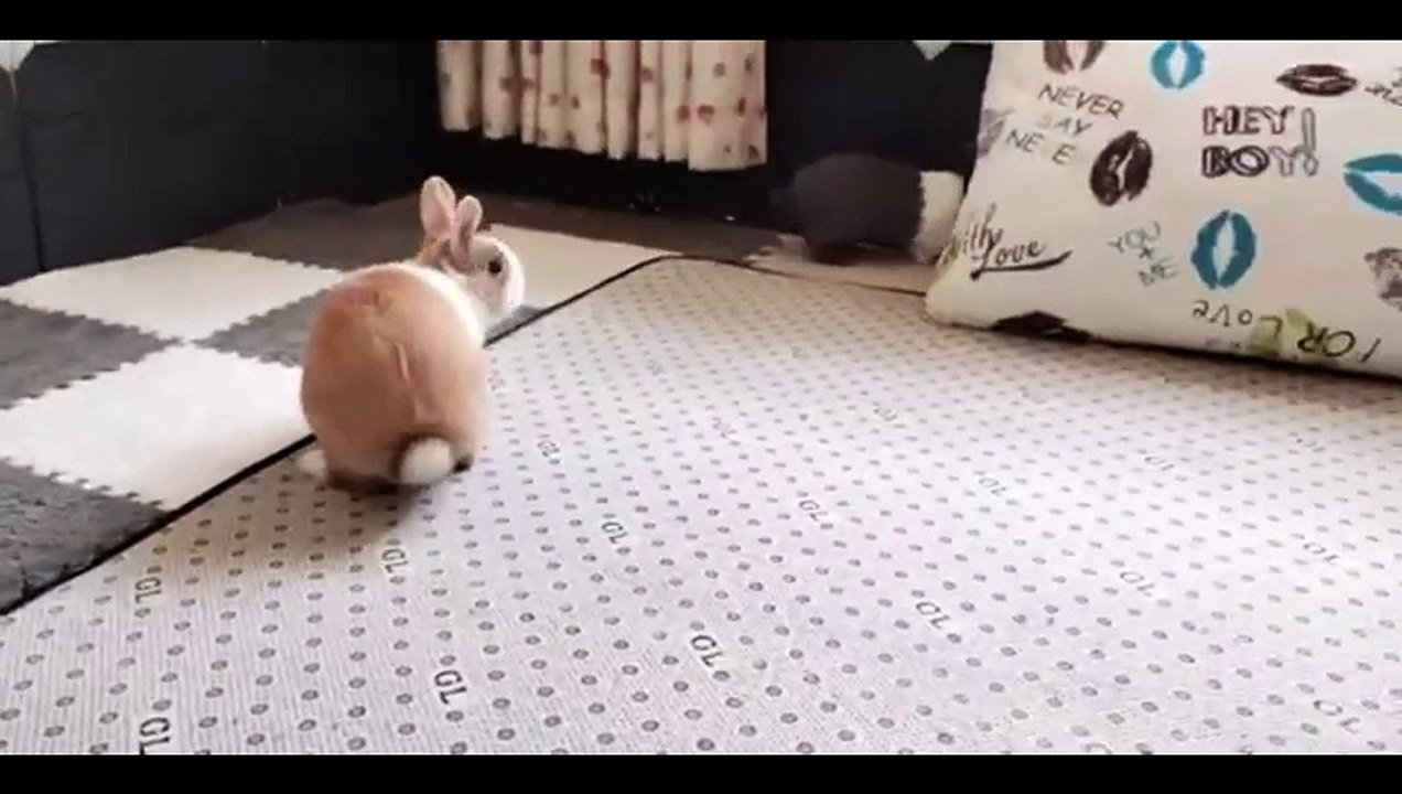 Oiled and Spoiled at the Garage Bella Rolland, Taylor Gunner video