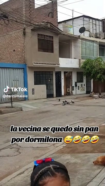Palomas dejan sin pan a vecina por levantarse tarde: "Bandada organizada"