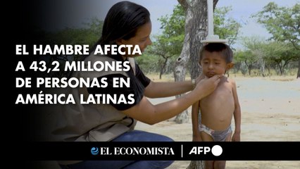 El hambre afecta a 43,2 millones de personas en América Latina