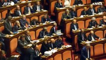Ok definitivo del Senato alla commissione Orlandi-Gregori