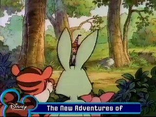 Monkey See, Monkey Do Better (Winnie the Pooh)