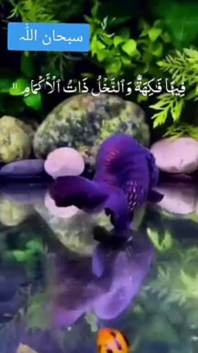 Surah Rahman