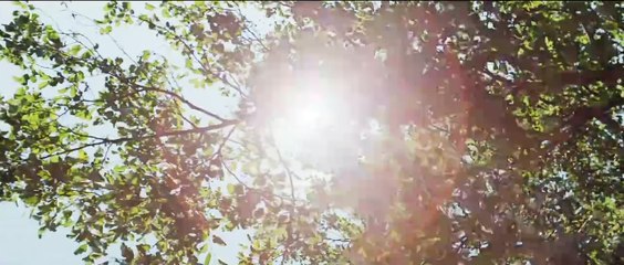 Coincidências da Vida e Grandes Amores 2021 - TRAILER OFICIAL