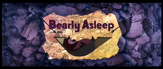 Donald Duck - Bearly Asleep (3)