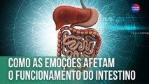 Como as emoções afetam o funcionamento do intestino | Fala, Doutora!