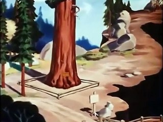 Donald Duck - Old Sequoia 1945