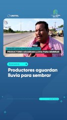 Productores aguardan lluvia para sembrar