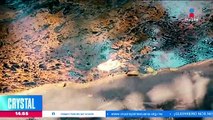 El arroyo Mexcalizapa de Veracruz fue contaminado por hidrocarburo