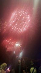 Le Feu d’artifice du 14 juillet Grenoble  Parc Jean-Verlhac Villeneuve #france #grenoble #show (48)