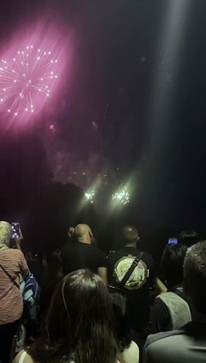 Le Feu d’artifice du 14 juillet 2023  Grenoble #14juillet #fetenational #france #feuxdartifice  (7)