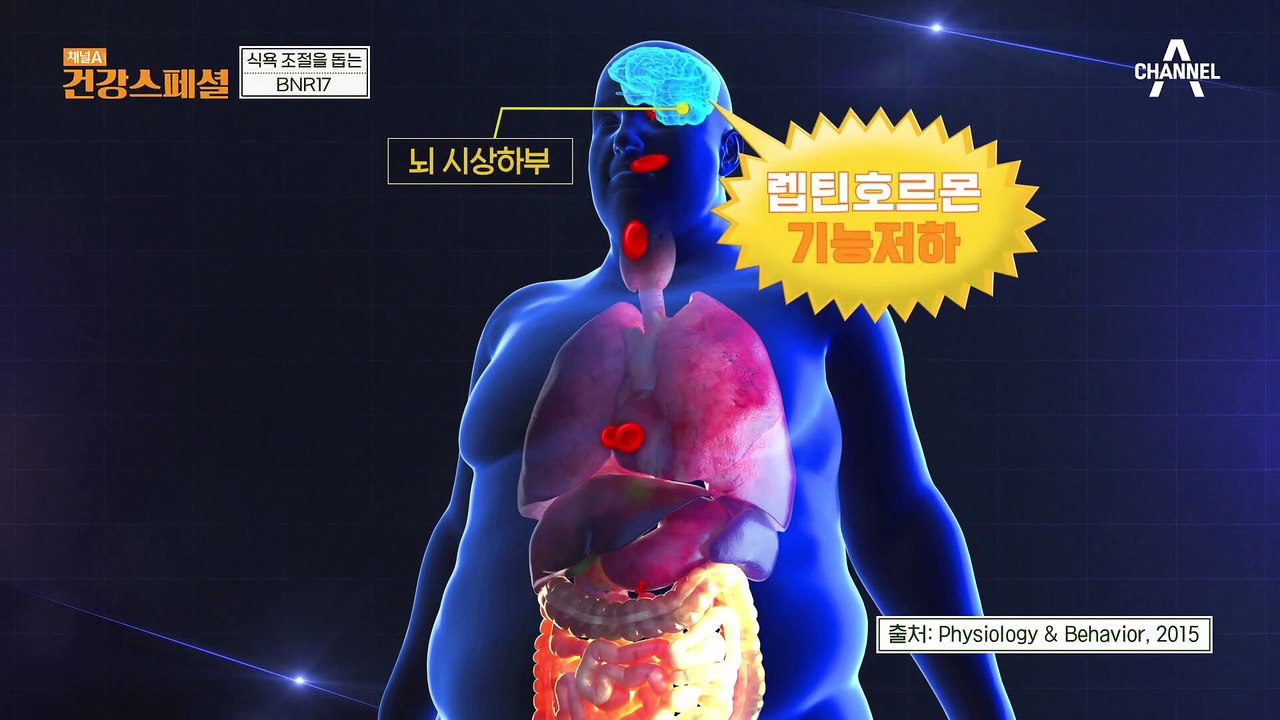 30년 차 동갑내기 부부의 다이어트 도전기! 하복부 운동 다 같이 해볼까요?