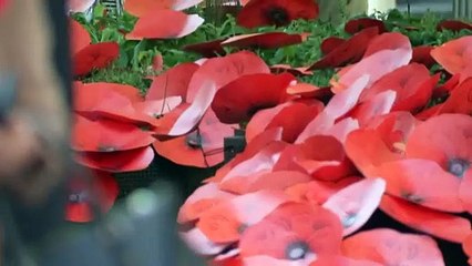 Hundreds gather in Sydney CBD for Remembrance Day