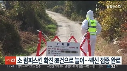 소 럼피스킨 확진 88건으로 늘어…백신 접종 완료