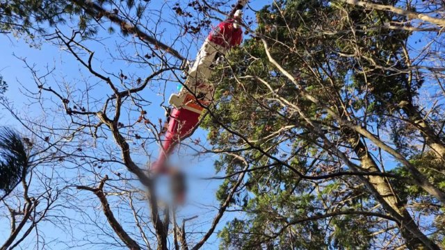 지리산서 60대 등산객 심정지 상태로 헬기 이송 / YTN