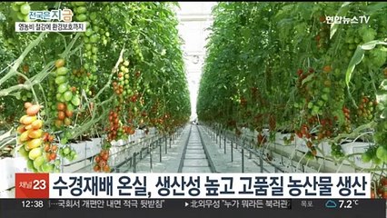 양액살균 기술 국산화 성공…영농비 절감·환경보호