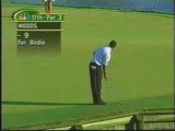 Tiger Woods impressions Golf! Hole in One