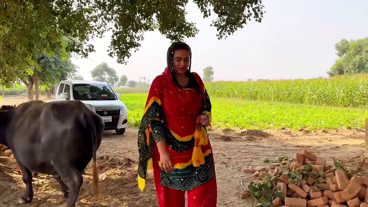 Naye Ghar Ki Muskurati hui Subah