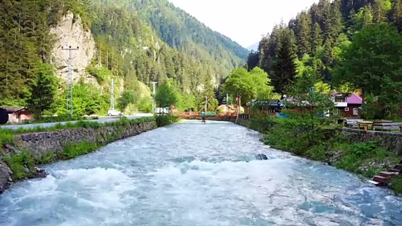 Natural stream Stock video.