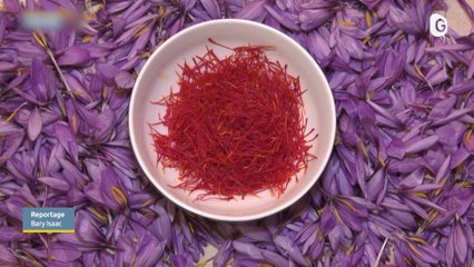 JT DES TERRITOIRES - 11/11/23 - TEMPÊTES - CONTRE L’UBERISATION - UNE STARTUP - SAFRAN - LE GRAND JOURNAL DES TERRITOIRES - TéléGrenoble