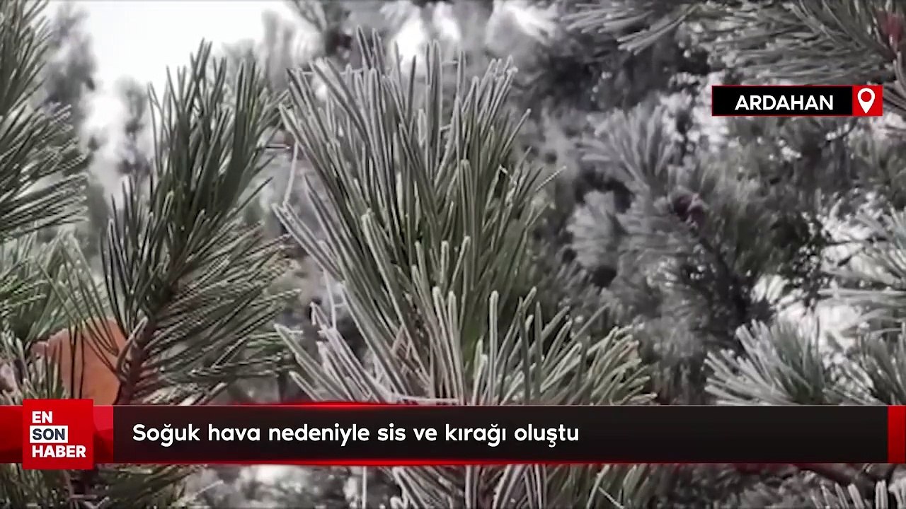 Ardahan'da soğuk hava nedeniyle sis ve kırağı oluştu