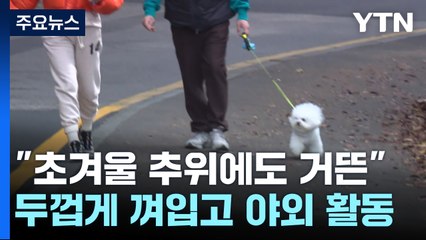 "초겨울 추위에도 거뜬"...두껍게 껴입고 야외 활동 / YTN