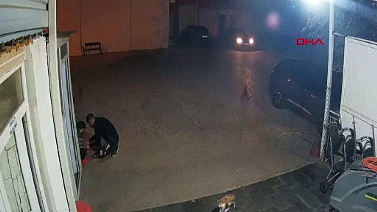 Dicle Devlet Hastanesi'nde kediye sağlık müdahalesi