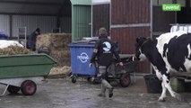 La ministre Céline Tellier visite Le Rêve d’Aby, un refuge pour animaux de ferme & chevaux