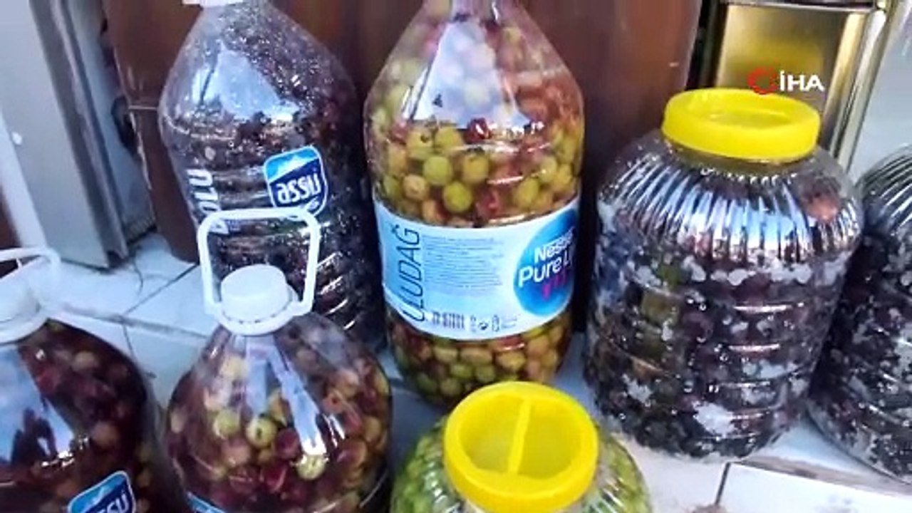 Balıkesir’de kırma zeytin hazırlanmasına başlandı