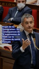 Projet de loi Immigration : les conséquences de la suppression de l’AME sur le système de santé français