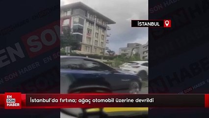 İstanbul'da fırtına; ağaç otomobil üzerine devrildi