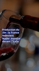 Production du vin : la France redevient leader mondial devant l’Italie
