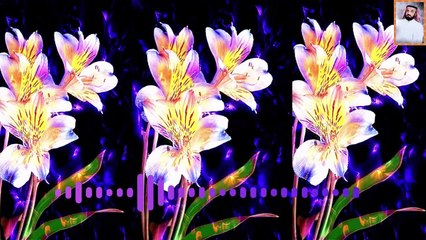 قرآنصوت يحرك القلوب ويبكي العيون علي الفرهود