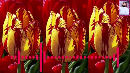 قرآن ترتيل يُبكي القلوب علي الفرهود