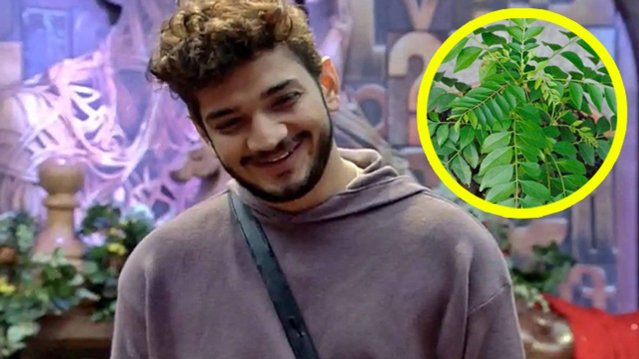 Bigg Boss 17 Munawar Faruqi खाली पेट कड़ी पत्ता क्यों खाते हैं | Khali Pet Kadi Patta Khane Ke Fayde
