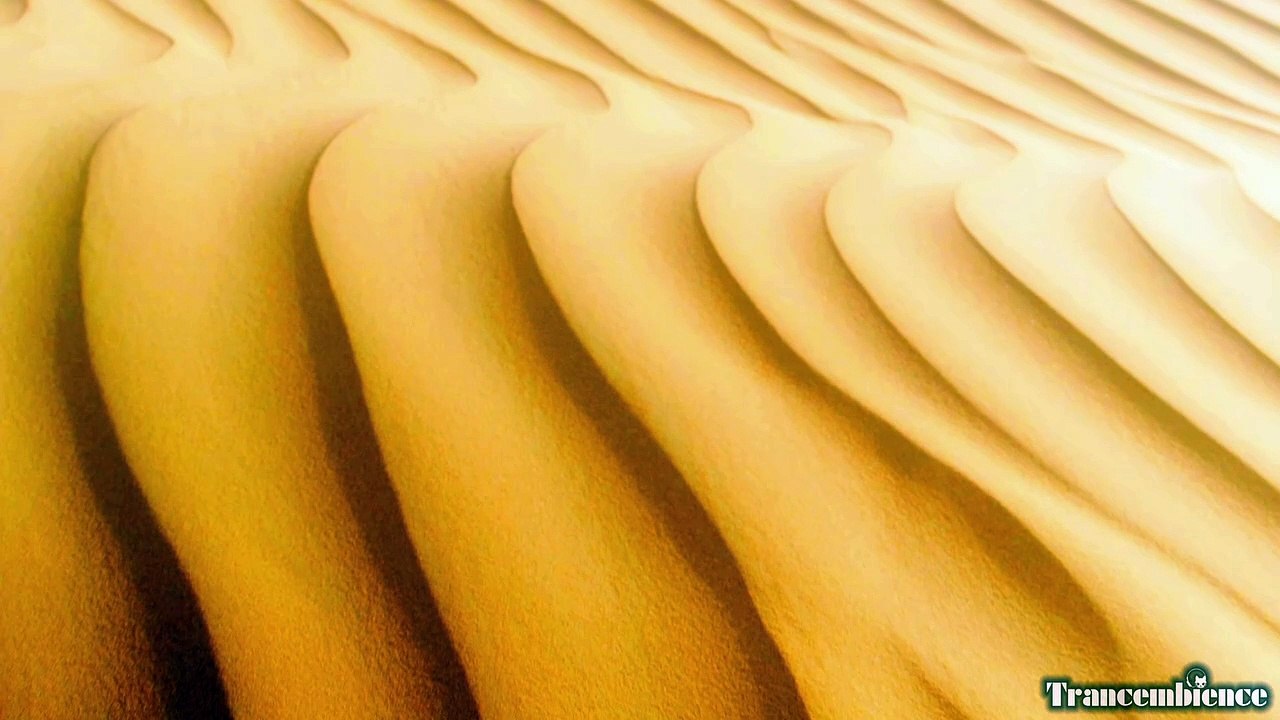 A Desert Oasis | Sun Yellow Desert Ambiance