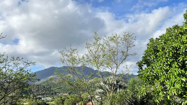 Villa F4 avec Piscine à Val Boisé - Un Espace de Vie Paisible et Vue Magnifique | Nestenn Nouméa ‍♂️
