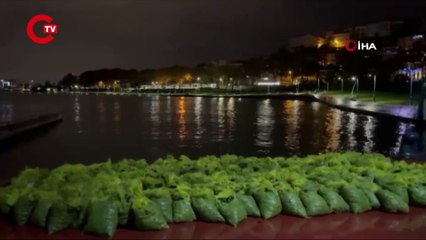 İstanbul’da 4 ton kaçak midye ele geçirildi