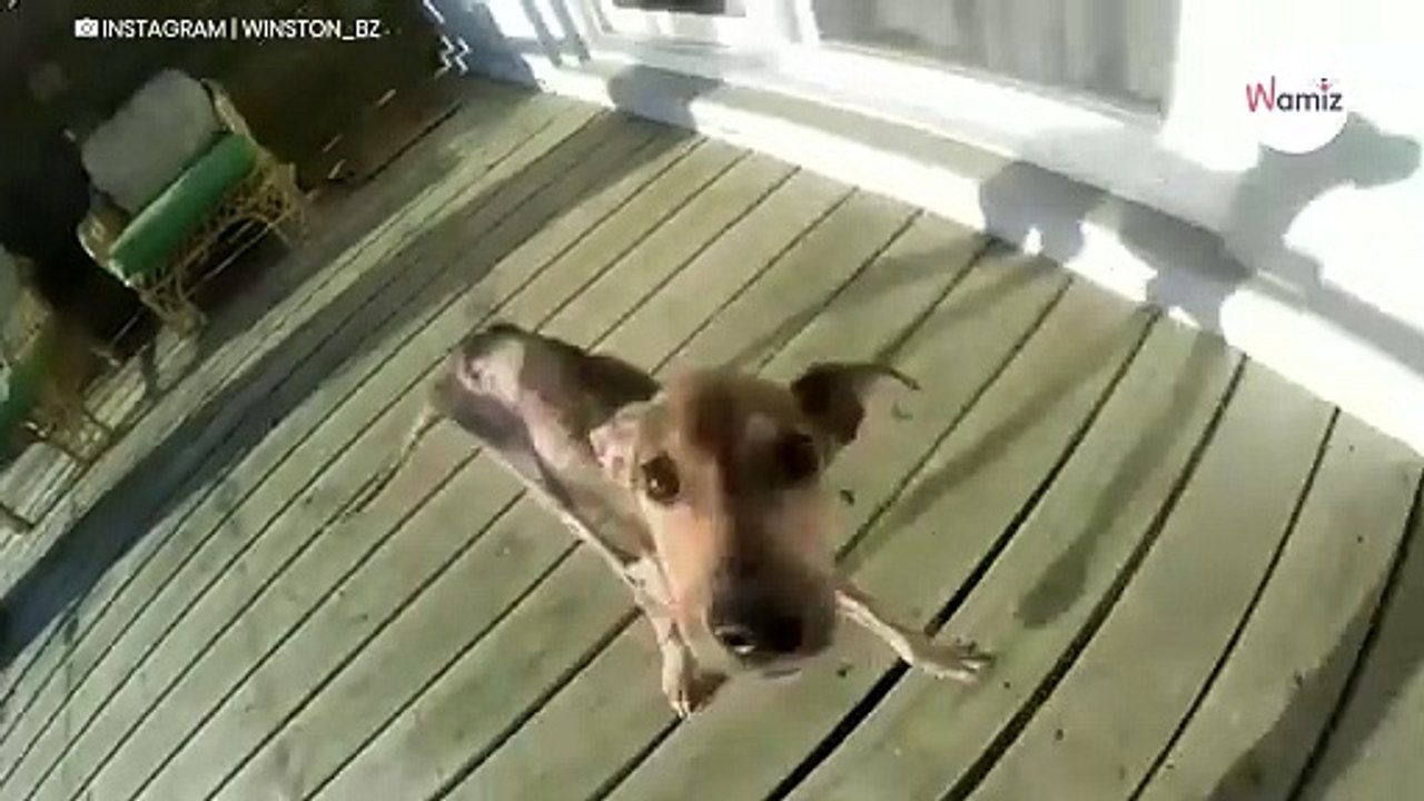Mentre è sul kayak, vede qualcosa muoversi in lontananza e capisce che deve agire subito