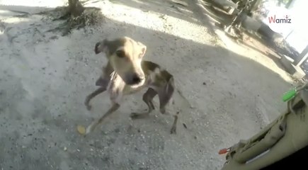 Photographer approaches desert island on a kayak and makes a shocking discovery