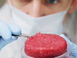 Italien: Herstellung und Verkauf von Laborfleisch ist verboten