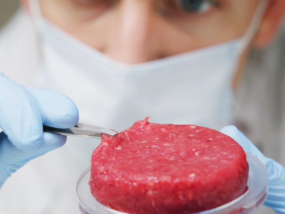 Italien: Herstellung und Verkauf von Laborfleisch ist verboten