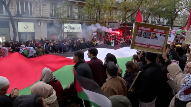 « Les soutenir, c'est le minimum » : à Paris, 16 200 manifestants réclament un cessez-le-feu à Gaza